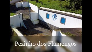 Pezinho dos Flamengos [upl. by Atikahs582]