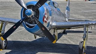 THUNDERBOLT  P47D [upl. by Norad112]