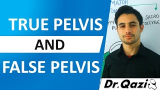 Pelvis Anatomy  Ture and False  Pelvis Greater and Lesser Pelvis  Boundaries [upl. by Allerus]