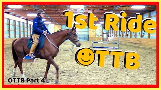 OTTB First Ride 1st Training Session With An OTTB With History of Rearing [upl. by Murtha]