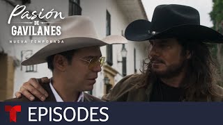 Pasión de Gavilanes New Season  Episode 34  Telemundo English [upl. by Kylynn]