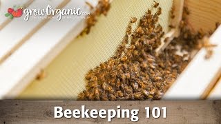 Beekeeping for Beginners  Hive Set Up [upl. by Nosnorb]