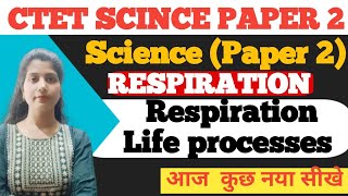 Respiration 🫁 Life processes Life of phases of respiration count respirations By neha saini [upl. by Naesad]