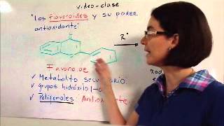 Video Clase Los flavonoides y su efecto antioxidante [upl. by Anawyt138]