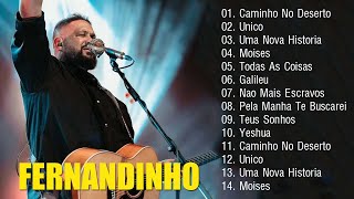 FERNANDINHO  Caminho No Deerto  Único Top 10 Hinos Gospel Mais Ouvidos de 2024 [upl. by Bordiuk724]