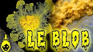 10 CHOSES à SAVOIR sur le BLOB [upl. by Eedeed]