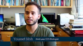 2018 CCS Summer Undergraduate Fellowships Youssef Sibih [upl. by Hedveh]