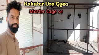 Kabutar Ura Gyea Master Cage Main Band Karty Howa [upl. by Negrom150]