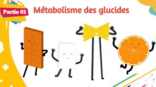 Biochimie  Métabolisme des glucides  Partie 0109 [upl. by Ezzo]