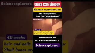 Human Reproduction  Class 12th  Part 3  Biology ncert cbse neet [upl. by Neelcaj90]