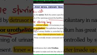 dartos vs detrusor muscles confusing topics aashik cee zoology [upl. by Dabney]