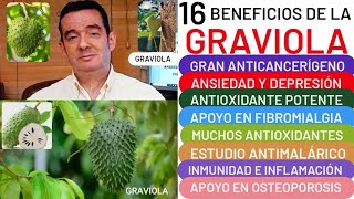 16 BENEFICIOS🌿🌳GRAVIOLA🌳🌿ANTICANCERÍGENO😮CORAZÓN❤️DEPRESIÓN👏HEMORROIDES👍FIBROMIALGIA🏋️ANTIMICROBIANO [upl. by Deck562]