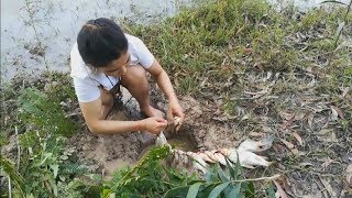 WowBeautiful girl Fishing at battambang  Khmer Net fishing  How to catches Fish [upl. by Eyllib]