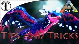 Fast Featherlight Taming Guide  Ark  Survival Evolved Tips and Tricks [upl. by Baalbeer]