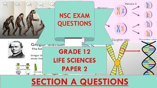 Section A Questions  Grade 12  Paper 2  NSC Exam Prep [upl. by Pedaias]