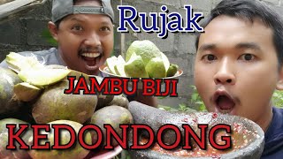 Mbolang vlog15 Rujak buah KEDONDONG dan JAMBU BIJI SENSASINYA bikin NGILU [upl. by Bebe]