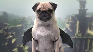 Pugs Make the WORST Last Guardians [upl. by Revlys]