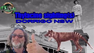 Thylacine sightings Dorrigo High country NSW 1940s 1980s with Mark [upl. by Daffy]