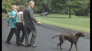 President Clinton Departing the White House via Marine One 1998 [upl. by Badger]