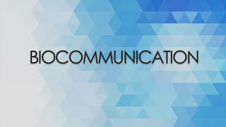 What Is Biocommunication [upl. by Etnahsa]