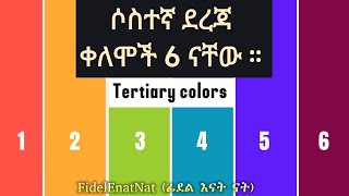 የቀለማት አይነቶች ክፍል 03  ስድስቱ ሶስተኛ ደረጃ ቀለማትን እንማራለን  Learn Tertiary colors [upl. by Yeltihw]