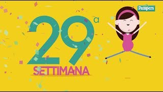 29° settimana di gravidanza [upl. by Leslie433]