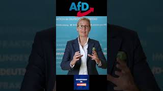 CDU lähmt den parlamentarischen Betrieb afd cdu aliceweidel [upl. by Wolfort]