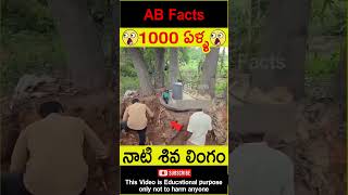 😲1000 ఏళ్ళ😲 1000 years old Siva lingam found in jungle telugufacts shorts youtubeshorts abfacts [upl. by Etram]