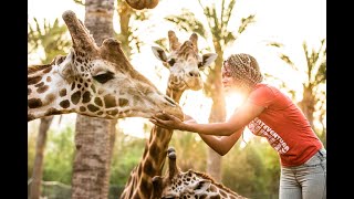 Oasis Wildlife Park Fuerteventura [upl. by Kesley]