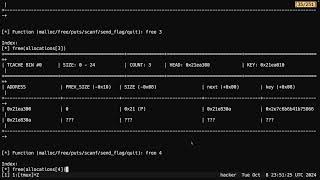 Dynamic Allocator Misuse  CSE466  Robert  20241008 [upl. by Anaizit]