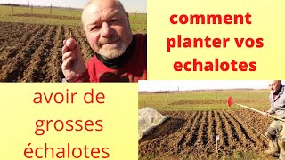 Comment planter vos échalotes [upl. by Bee]