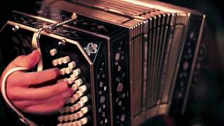 Virtual Tango Bandoneon VST plugin La Cumparsita Harmodion amp Akkordica VST VST3 Audio Unit KONTAKT [upl. by Irrab]