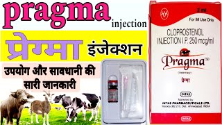 Pragma injection uses in hindi veterinarymedicinehindi cloprostenol injection use in hindi vet [upl. by Strage70]