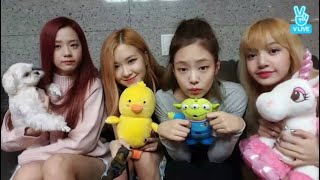 ENG SUB BLACKPINK VLIVE ROSÉ JISOO LISA AND JENNIE [upl. by Alieka381]