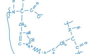 Drawing salt bridges in Hemoglobin  Exam Problem [upl. by Newell158]