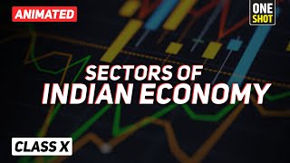 Sectors of Indian Economy class 10 full chapter Animation  Class 10 Economics Chapter 2 CBSE ep01 [upl. by Naujuj463]