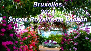 2024 Serres Royales de Laeken Bruxelles [upl. by Yate]