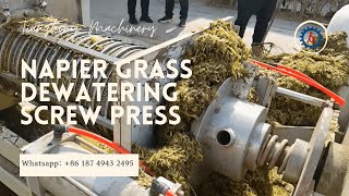 Napier Grass Dewatering Screw Press [upl. by Harriott]