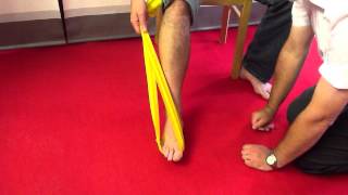 Tibialis Posterior Dysfunction  rehab exercises with latex band [upl. by Roosevelt]