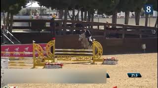 Canturo  Show Jumper  Casall  2018  Gelding [upl. by Teews640]