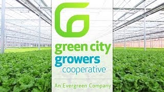 Green City Growers [upl. by Eseuqram]