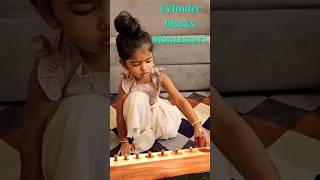 Cylinder Blocks  Montessori calmdown viralvideo youtubeshorts [upl. by Chaddy163]