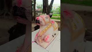 🙏🙏Nandi Bhagwan shots shortfeed shortvideo viralvideo [upl. by Berstine]