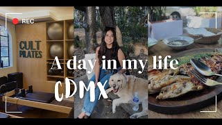 Mexico City Vlog Day 2 [upl. by Housen]