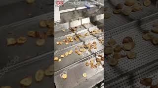 Comment Produire En Masse Des Chips De Banane Plantain [upl. by Barayon357]