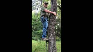 Climbing Made Easy Saddle Hunting Tips Linesman Help DIY Ropeman and More [upl. by Desmund]