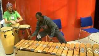 Biggest Xylophone in the World [upl. by Runkel]