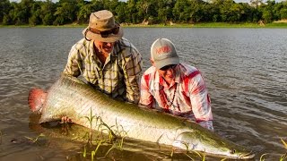 PIRARUCU  FlyFishing the Biggest Arapaima Reserve in the planet [upl. by Redep]