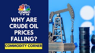 Crude Oil Prices Fall 25 Overnight As OPEC Cuts Global Demand Forecast  CNBC TV18 [upl. by Iggie]