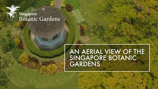 An Aerial View Of The Singapore Botanic Gardens [upl. by Name]